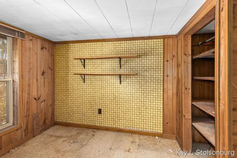 Tiny photo for 5508 E Butler Road, Assyria Township, MI 49050 (MLS # 65025058022)