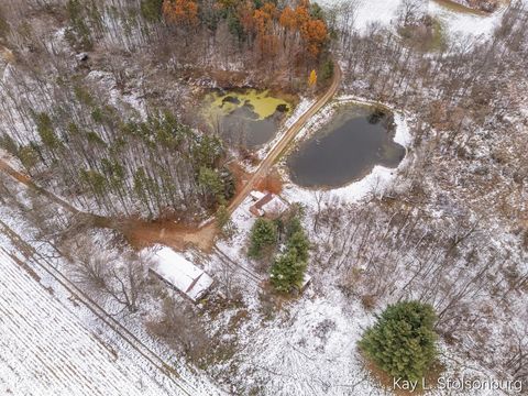 Tiny photo for 5508 E Butler Road, Assyria Township, MI 49050 (MLS # 65025058022)