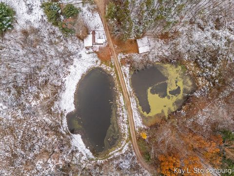 Tiny photo for 5508 E Butler Road, Assyria Township, MI 49050 (MLS # 65025058022)