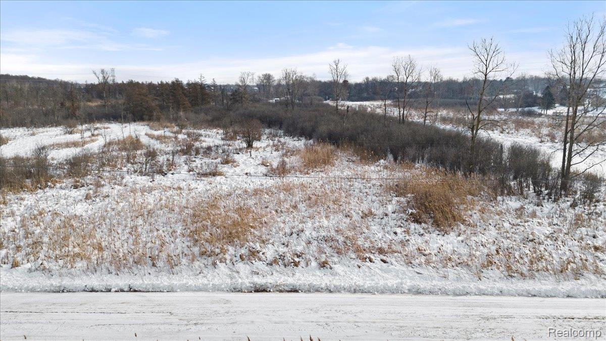 Brandon, Michigan 48462, United States, ,Land,Active,256417