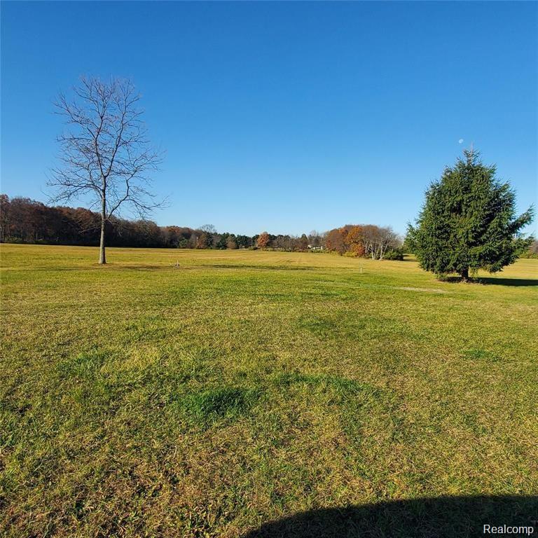 11124 Dexter Pinckney Road