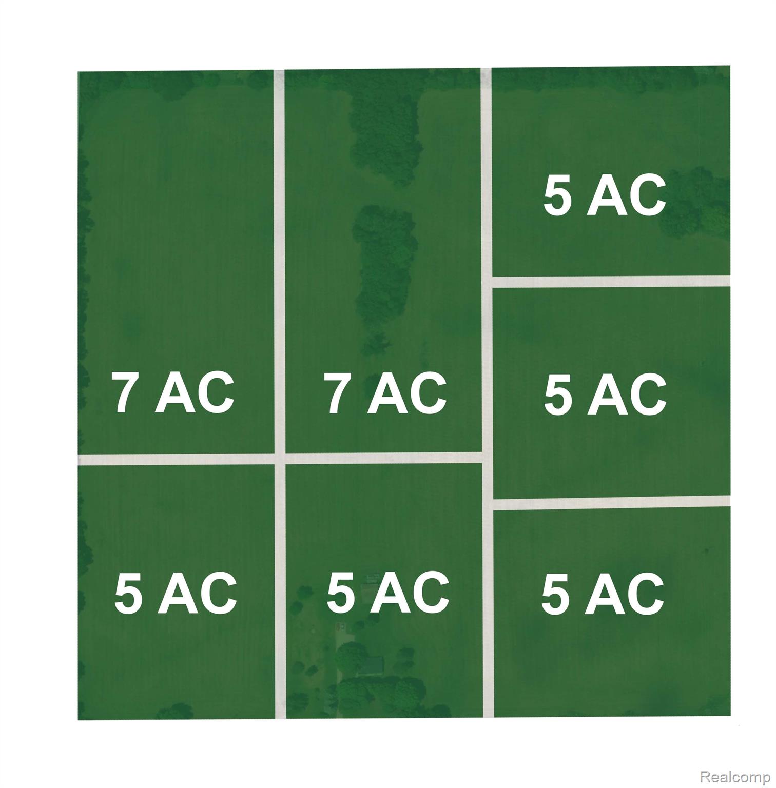 11124 Dexter Pinckney Road