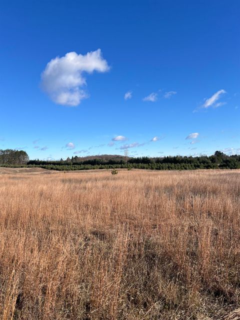 Vacant Land Johnson Road Custer Township MI 49615