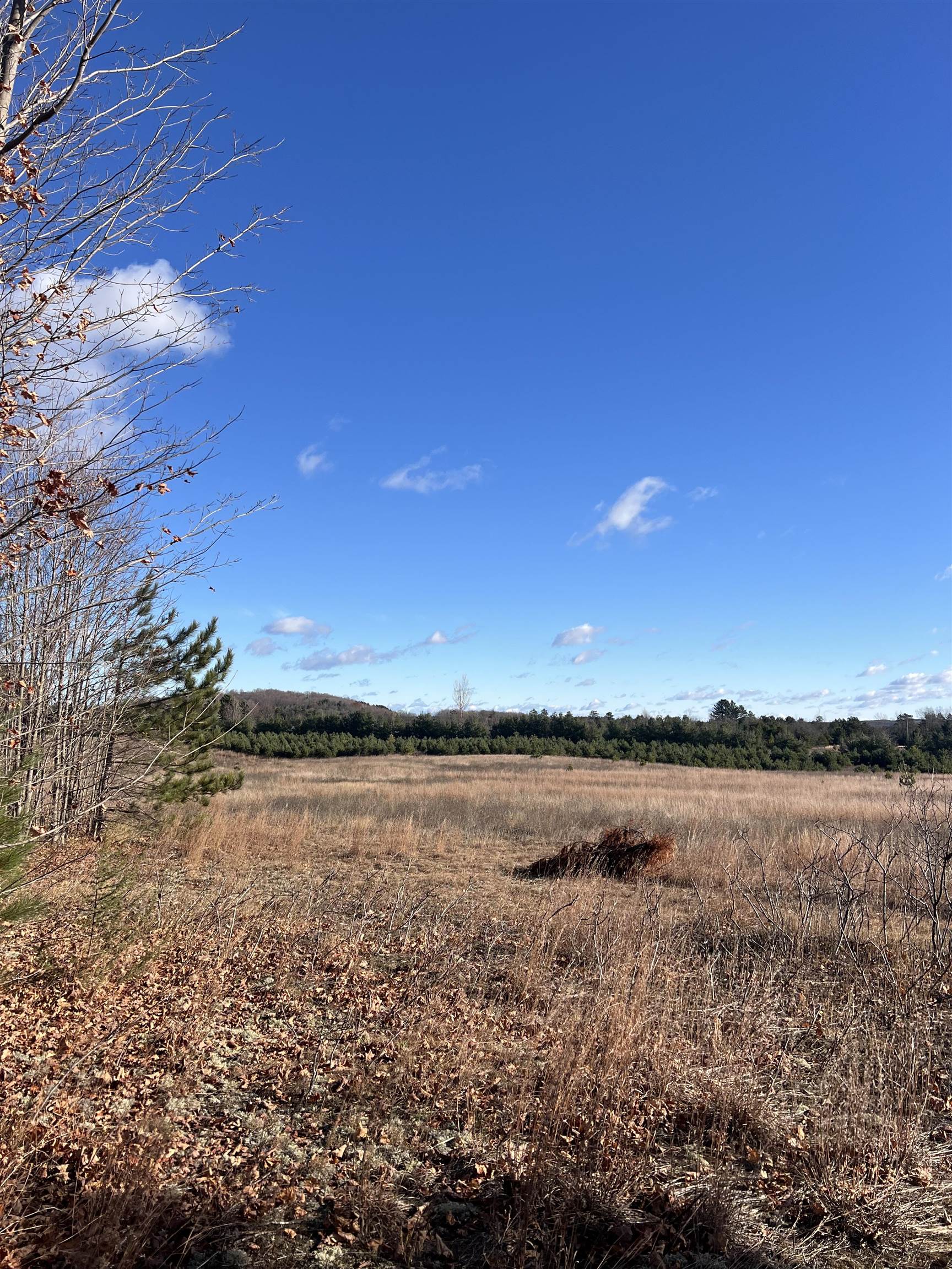 Vacant Land Johnson Road