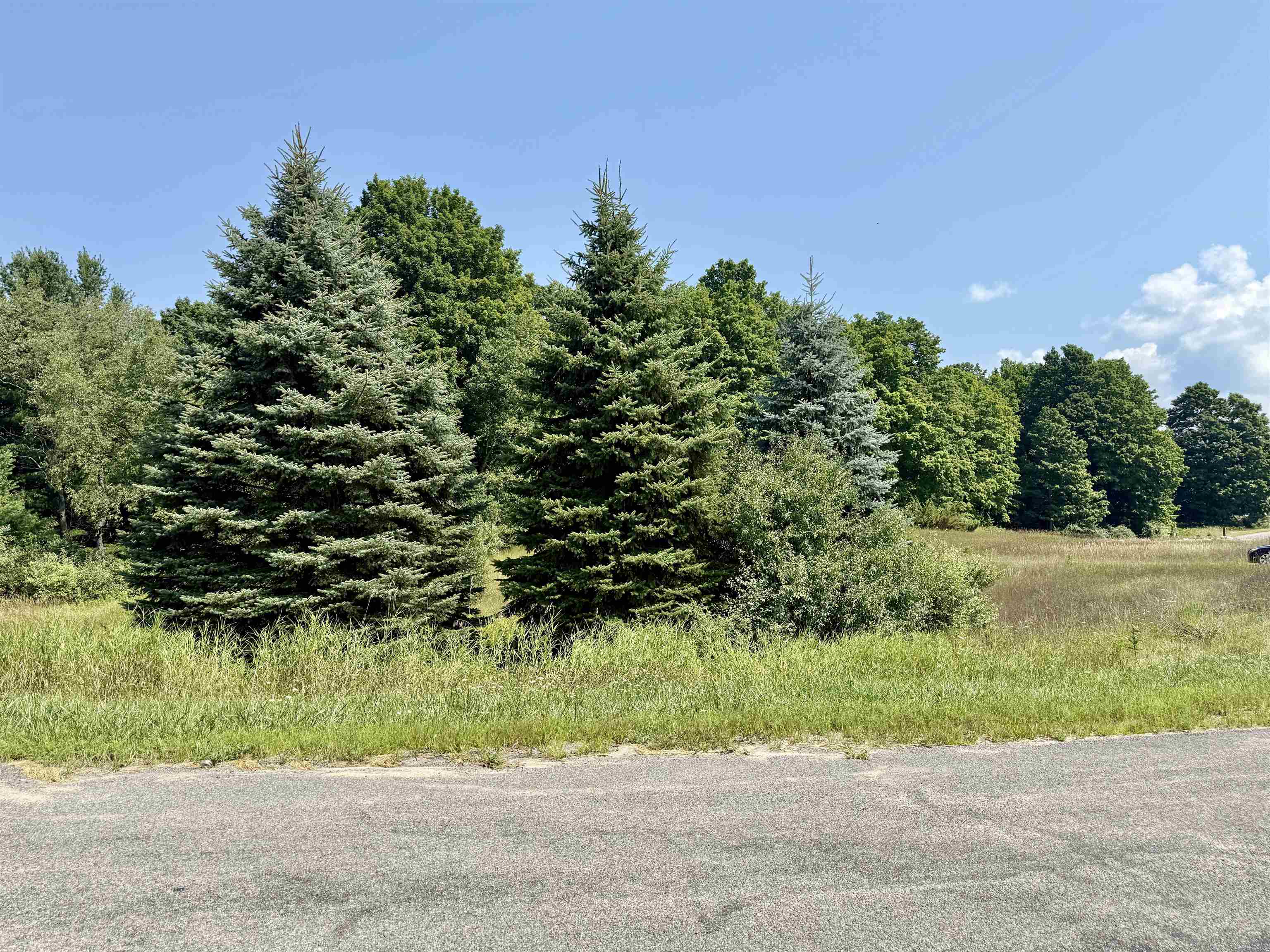 00 Alden Meadows Drive