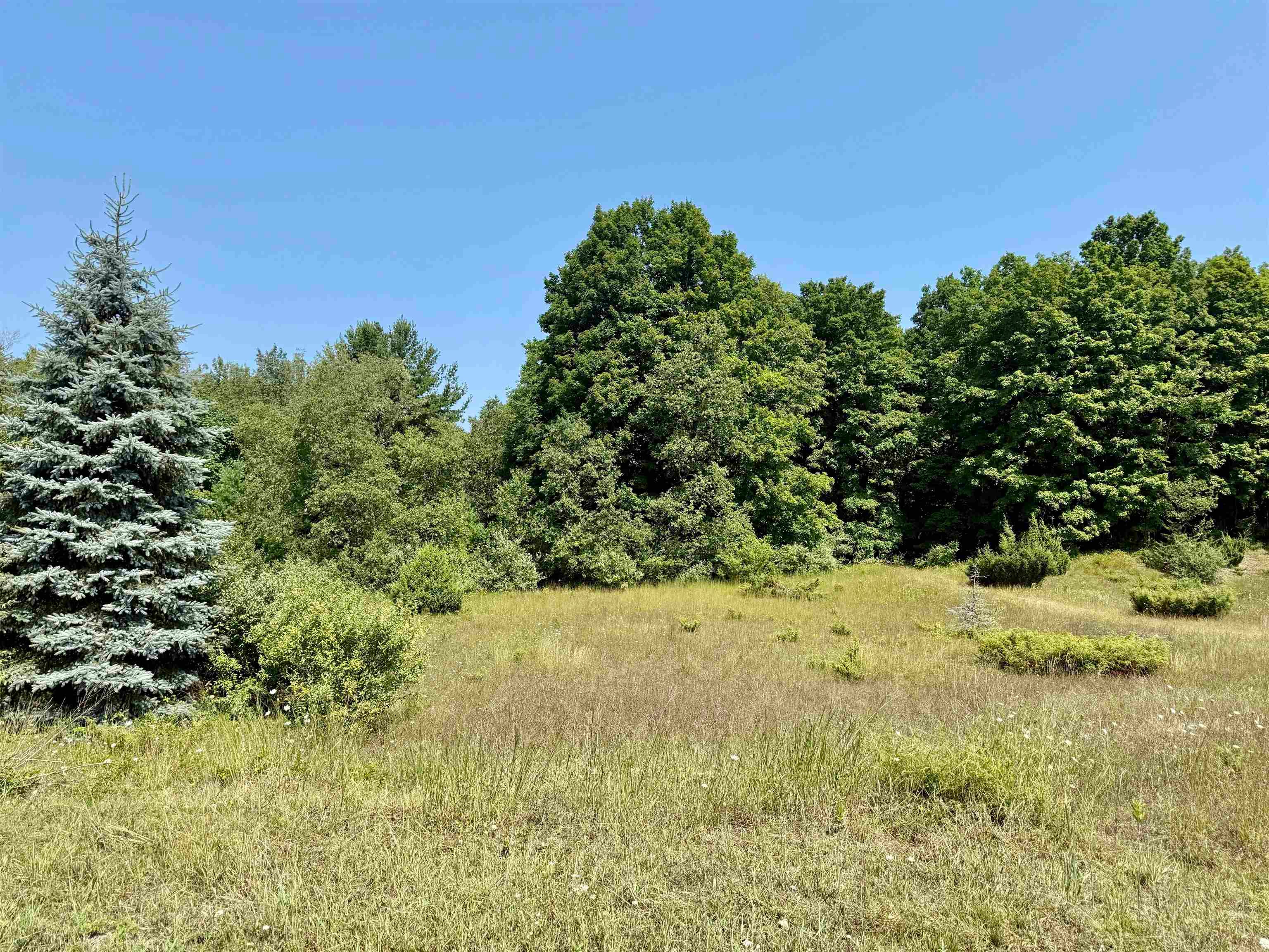 00 Alden Meadows Drive