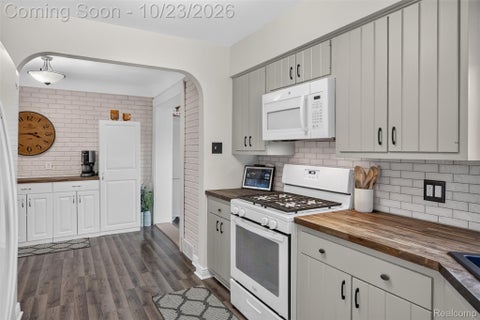 Tiny photo for 8615 Quandt Avenue, Allen Park City, MI 48101 (MLS # 20261083187)