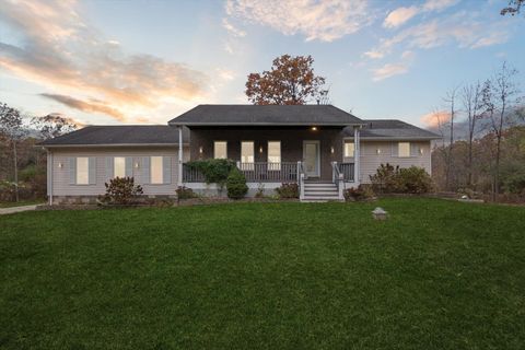 6000 San Luray Road Unadilla Township MI 48137