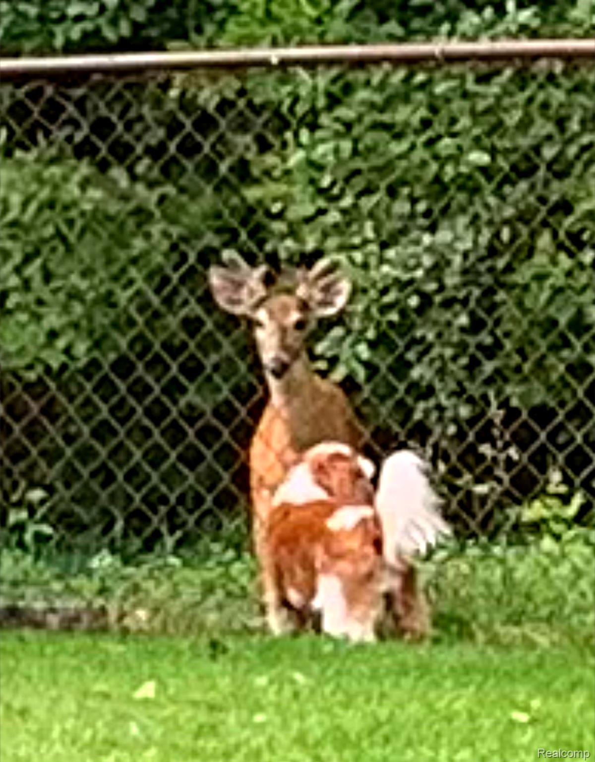 38993 Grennada Street