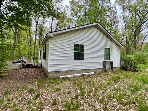 Tiny photo for 7127 Wever Road, Branch Township, MI 49410 (MLS # 67026025906)
