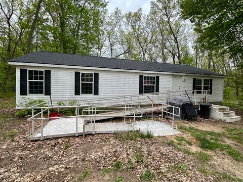 Tiny photo for 7127 Wever Road, Branch Township, MI 49410 (MLS # 67026025906)