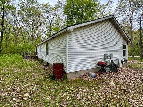 Tiny photo for 7127 Wever Road, Branch Township, MI 49410 (MLS # 67026025906)