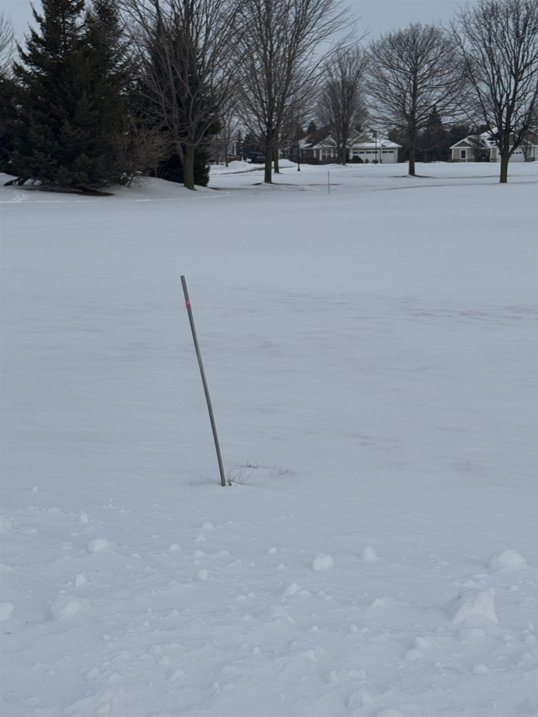 4231 Wolverine Drive