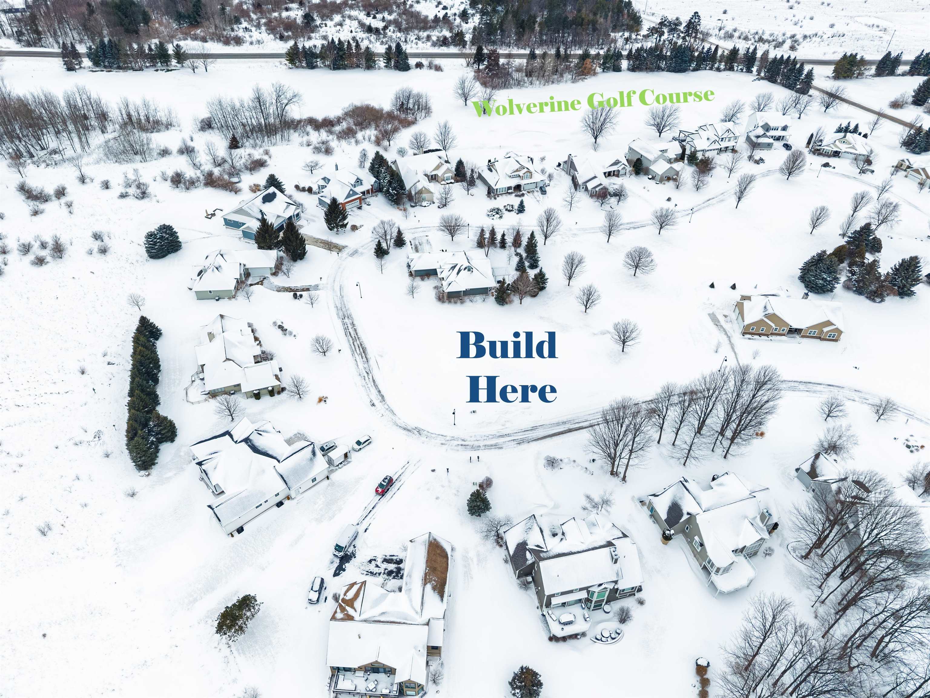 4231 Wolverine Drive