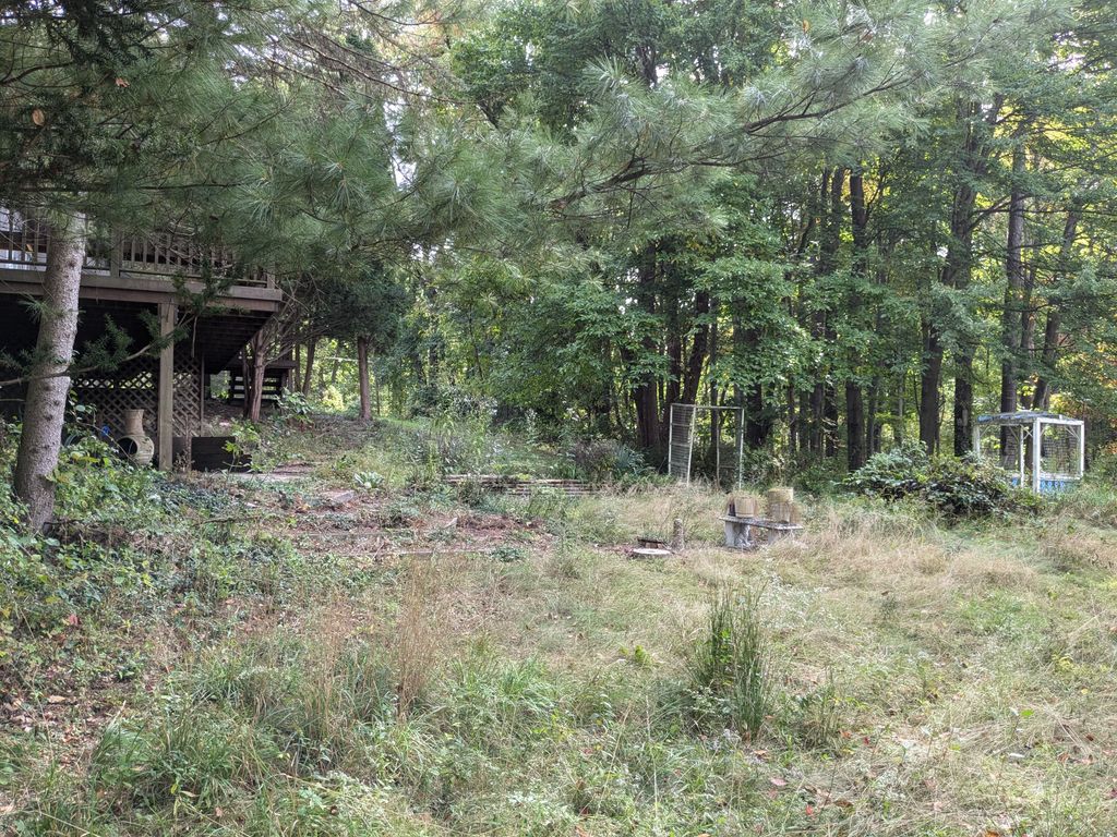 listing image 68