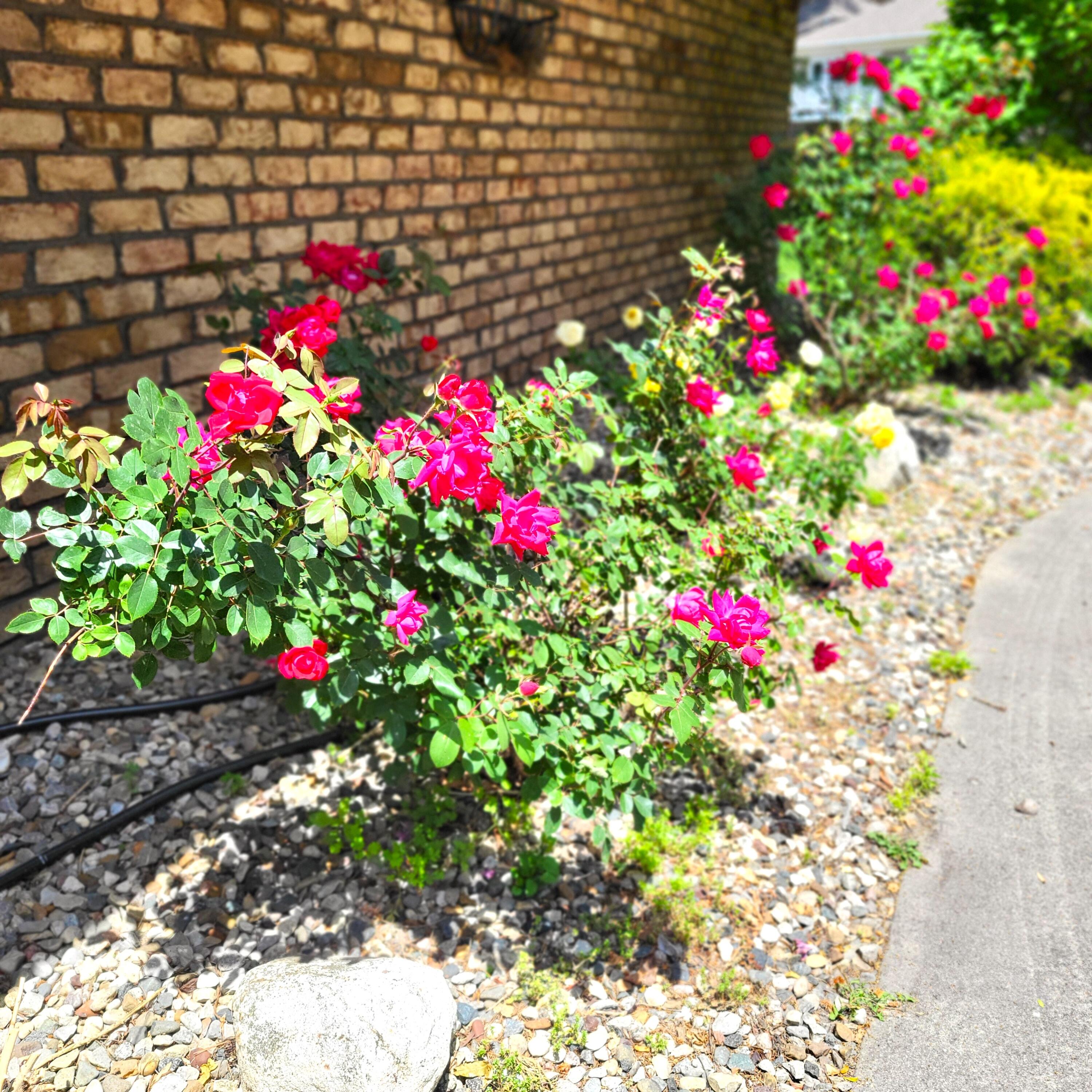 1519 Moccasin Trail