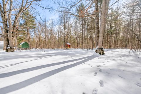 Tiny photo for 19077 12 Mile Road, Mecosta Township, MI 49307 (MLS # 72026006038)