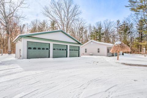 Tiny photo for 19077 12 Mile Road, Mecosta Township, MI 49307 (MLS # 72026006038)