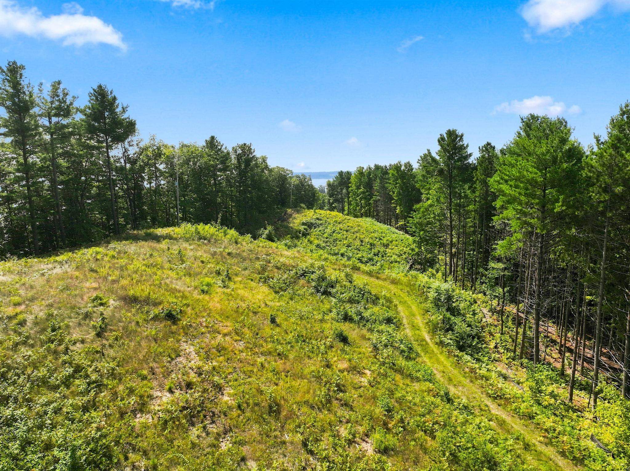 00000 Bluff Road