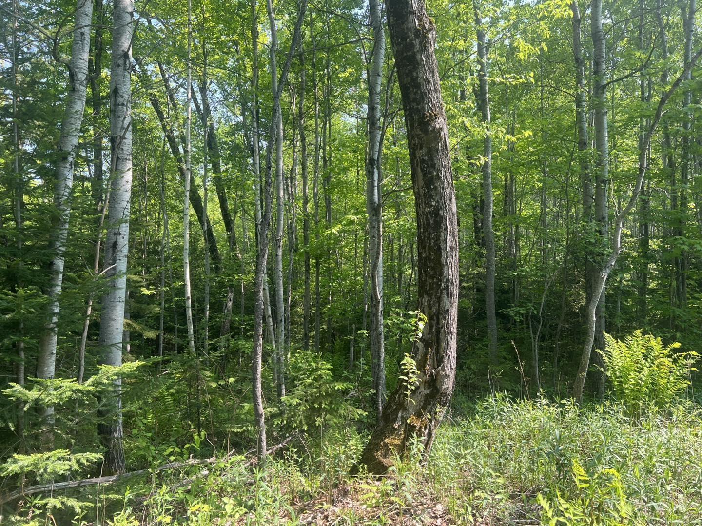 XXX US-2 West Highway