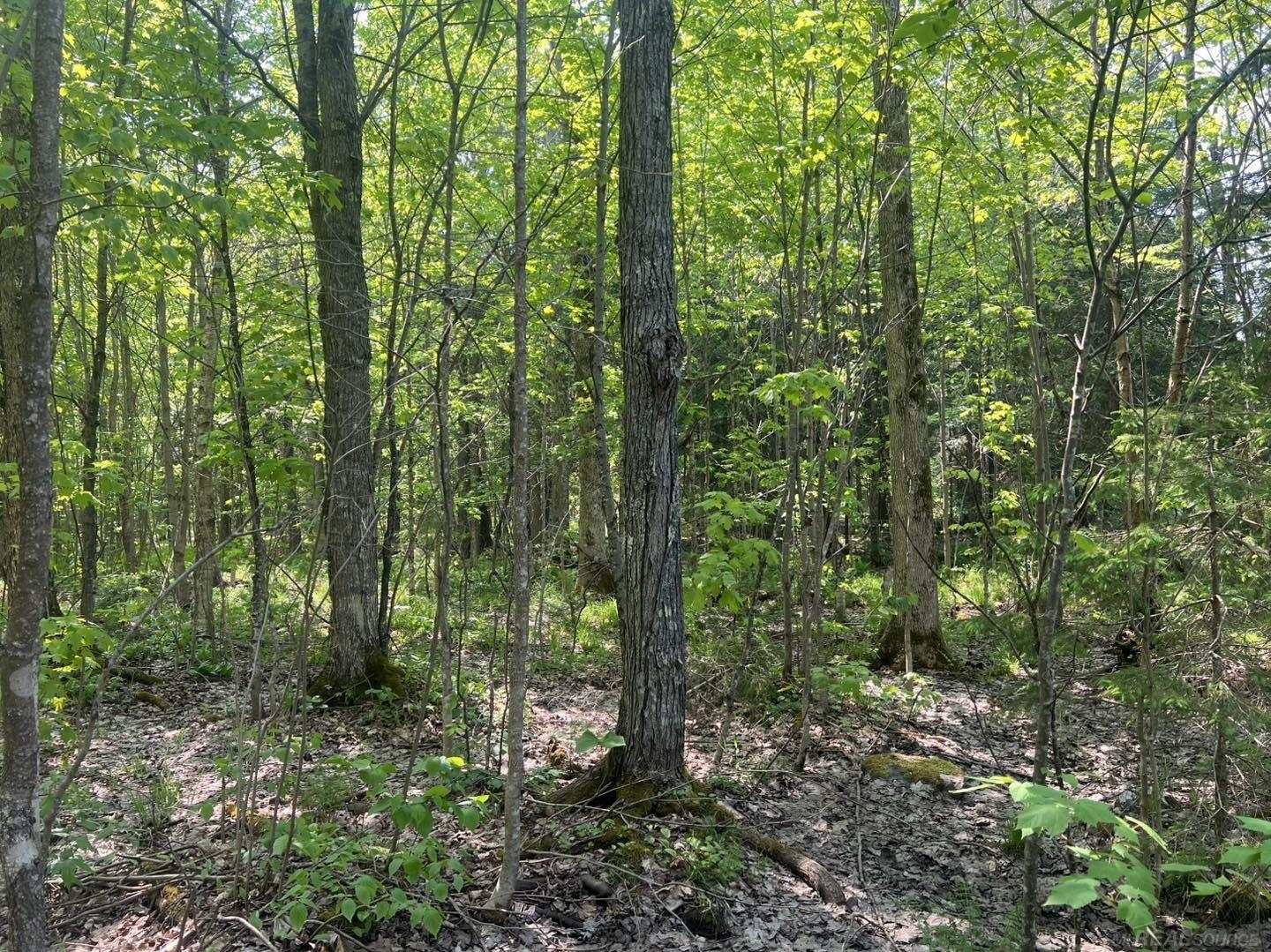 XXX US-2 West Highway