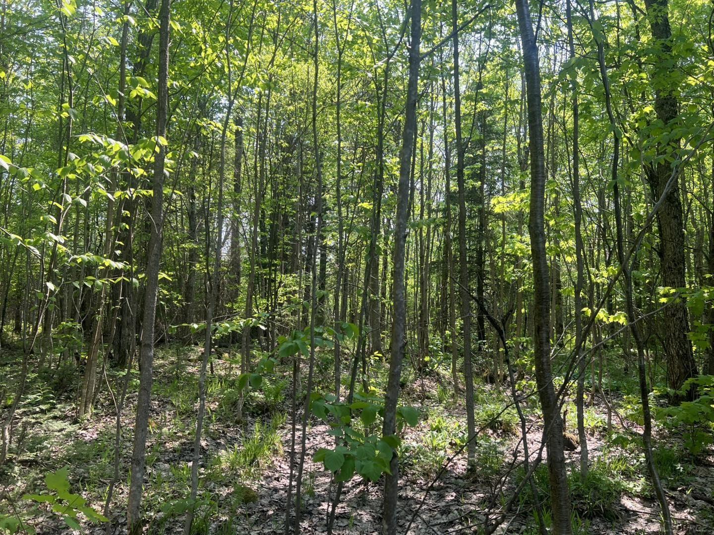 XXX US-2 West Highway