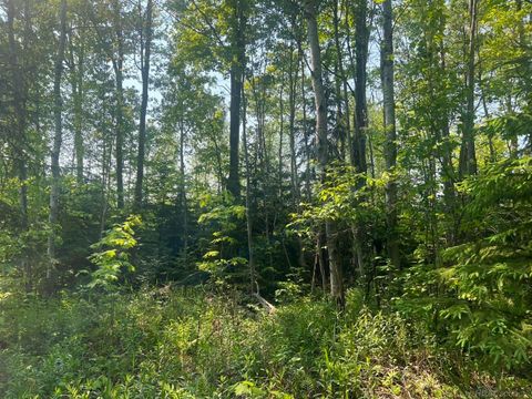 XXX US-2 West Highway Marenisco Township MI 49947