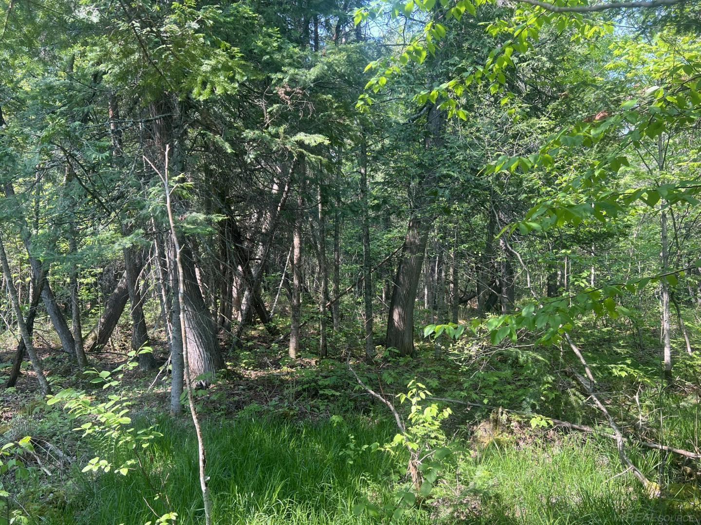 XXX US-2 West Highway