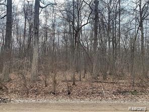 44235 WEAR RD, BELLEVILLE, MI 48111 - Image 5598e73d4103d068ae729bbdab5e7bc4/2888613102