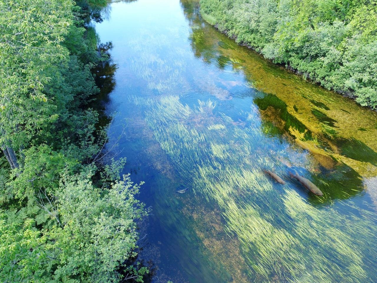 15 Acres C Wallin Road