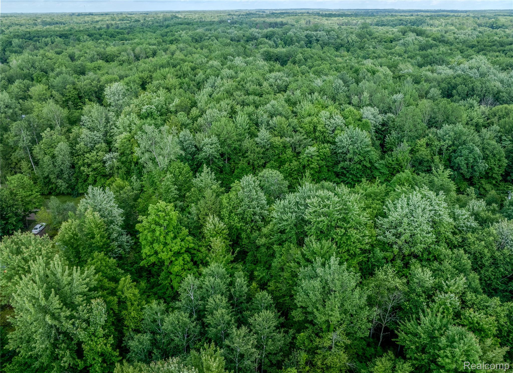 #0047 V/L Maplegrove Lane