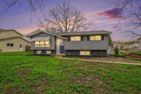 3042 Perry Avenue SW Wyoming City MI 49519