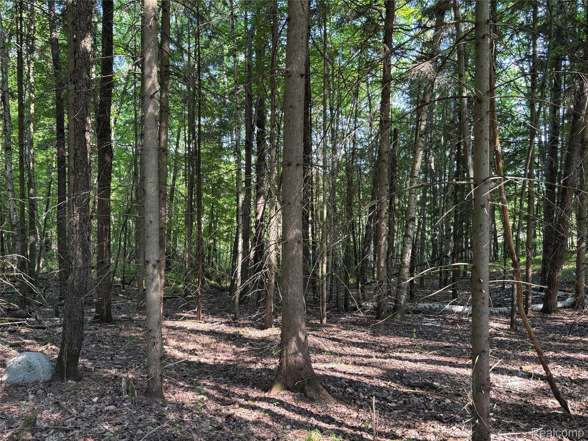 0000 Loggers Pass
