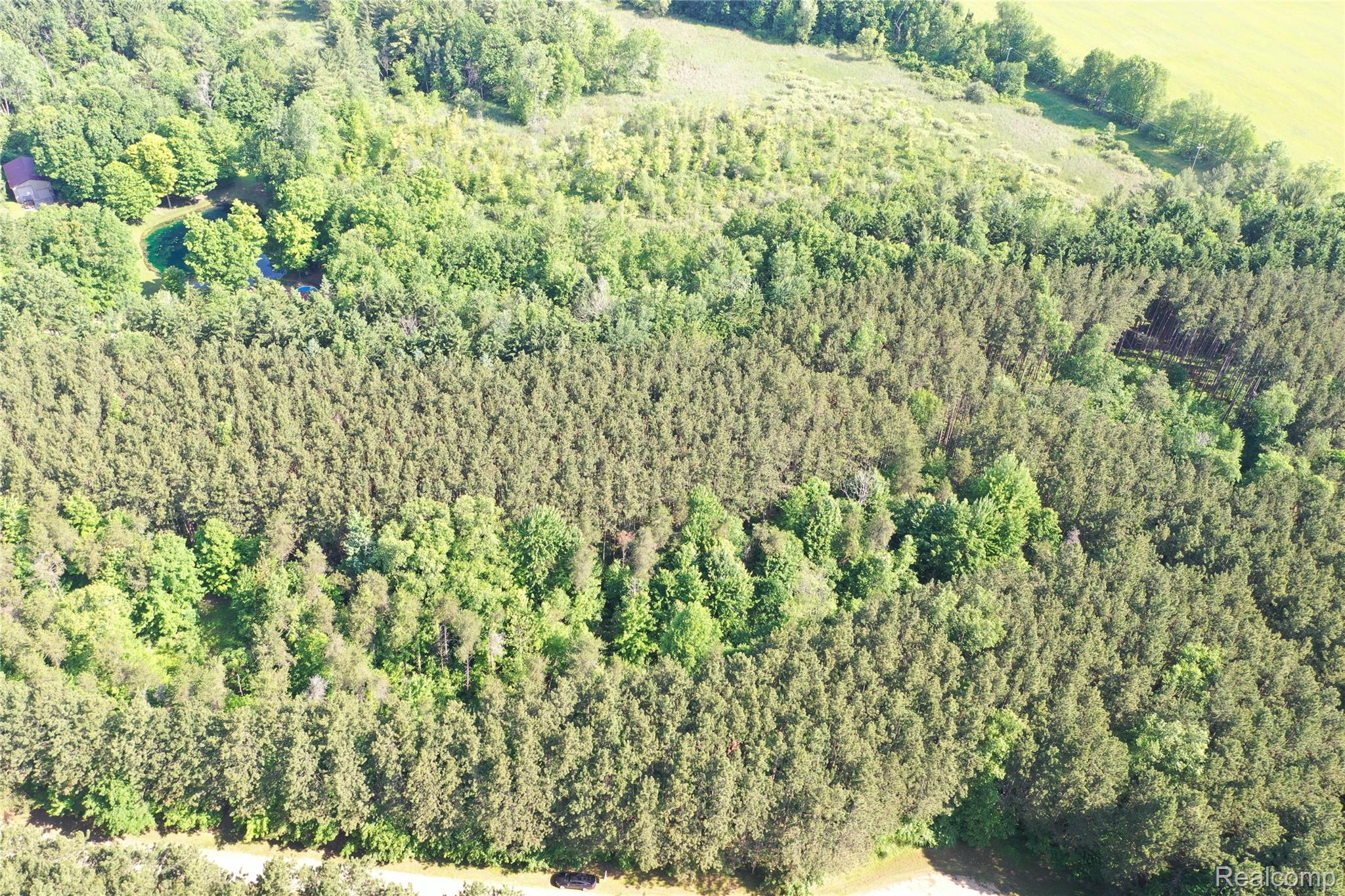 0000 Loggers Pass