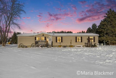 1451 W Charles Road Ronald Township MI 48846