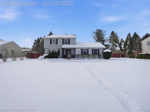 59195 Albert Lane Lyon Charter Township MI 48165
