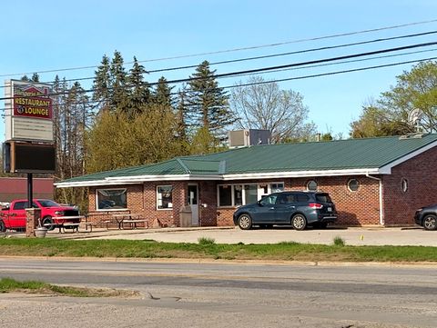 205 S Division Street Newfield Township MI 49421