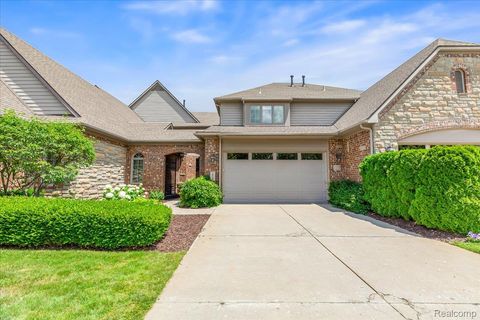 10743 Waterfall Court Green Oak Township MI 48178