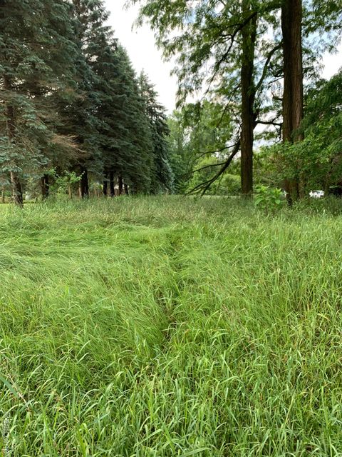 0 Silver Lake Road Fenton Charter Township MI 48451