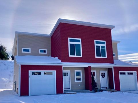 9286 S Flaska Drive Solon Township MI 49621