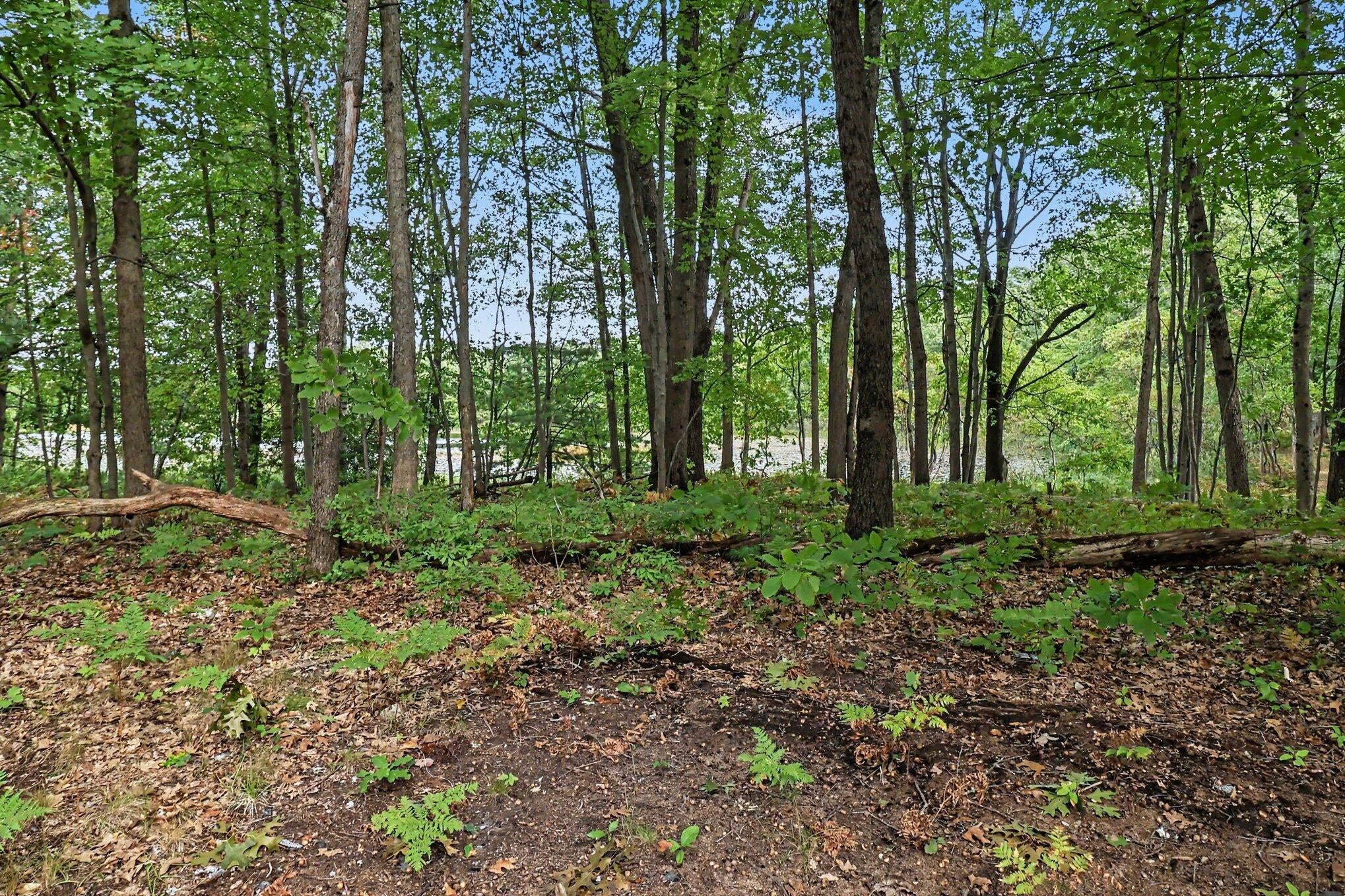395 N Campbell Road
