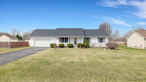 3346 N Saxony Drive Raisin Township MI 49286