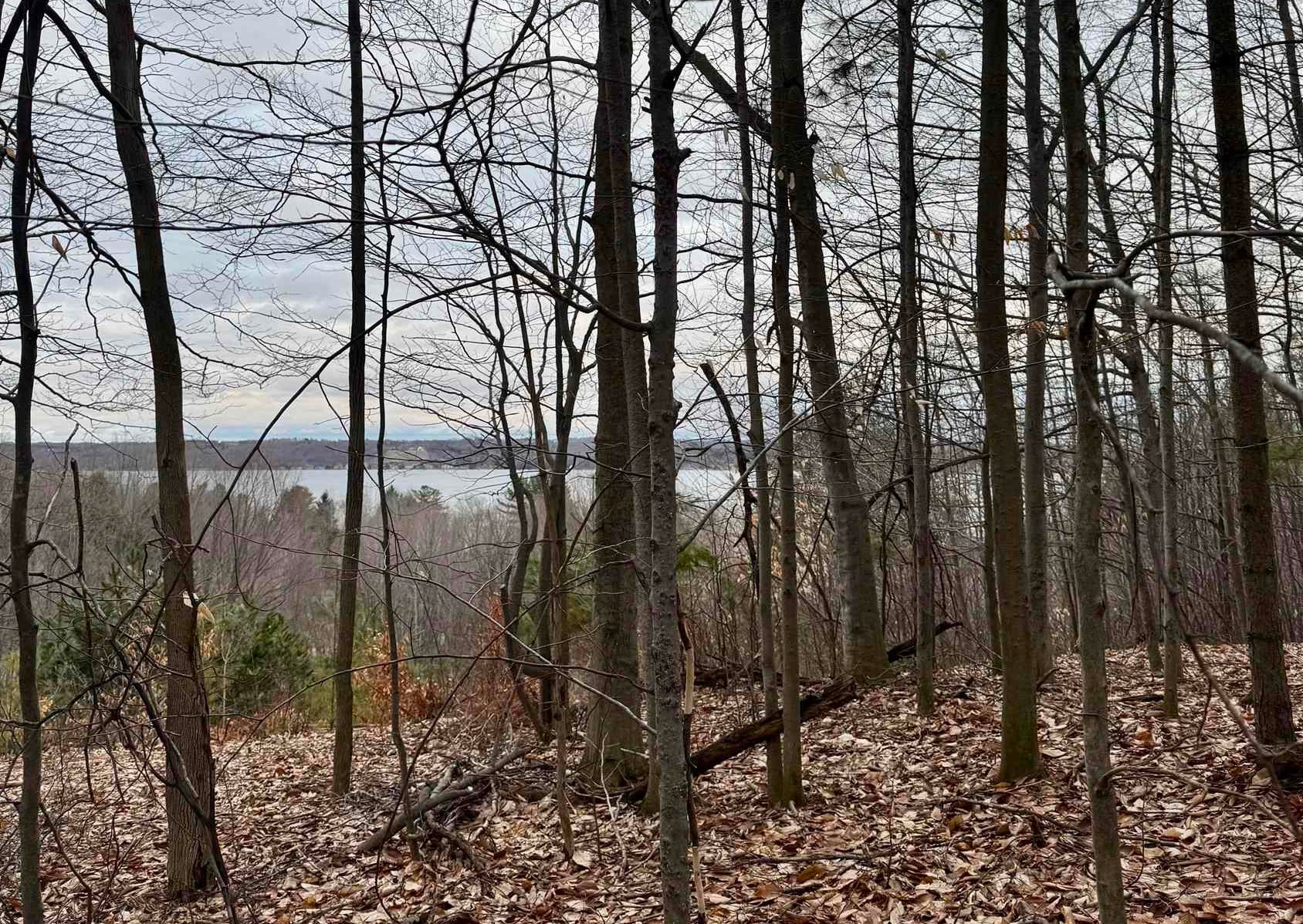 00 E Hidden Beech Drive