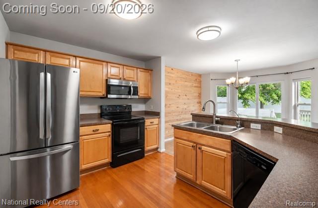 8019 Springdale