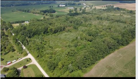 0 Nettney Road Capac Village MI 48014