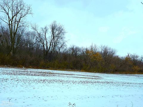 73763 Coon Creek Road Armada Township MI 48005