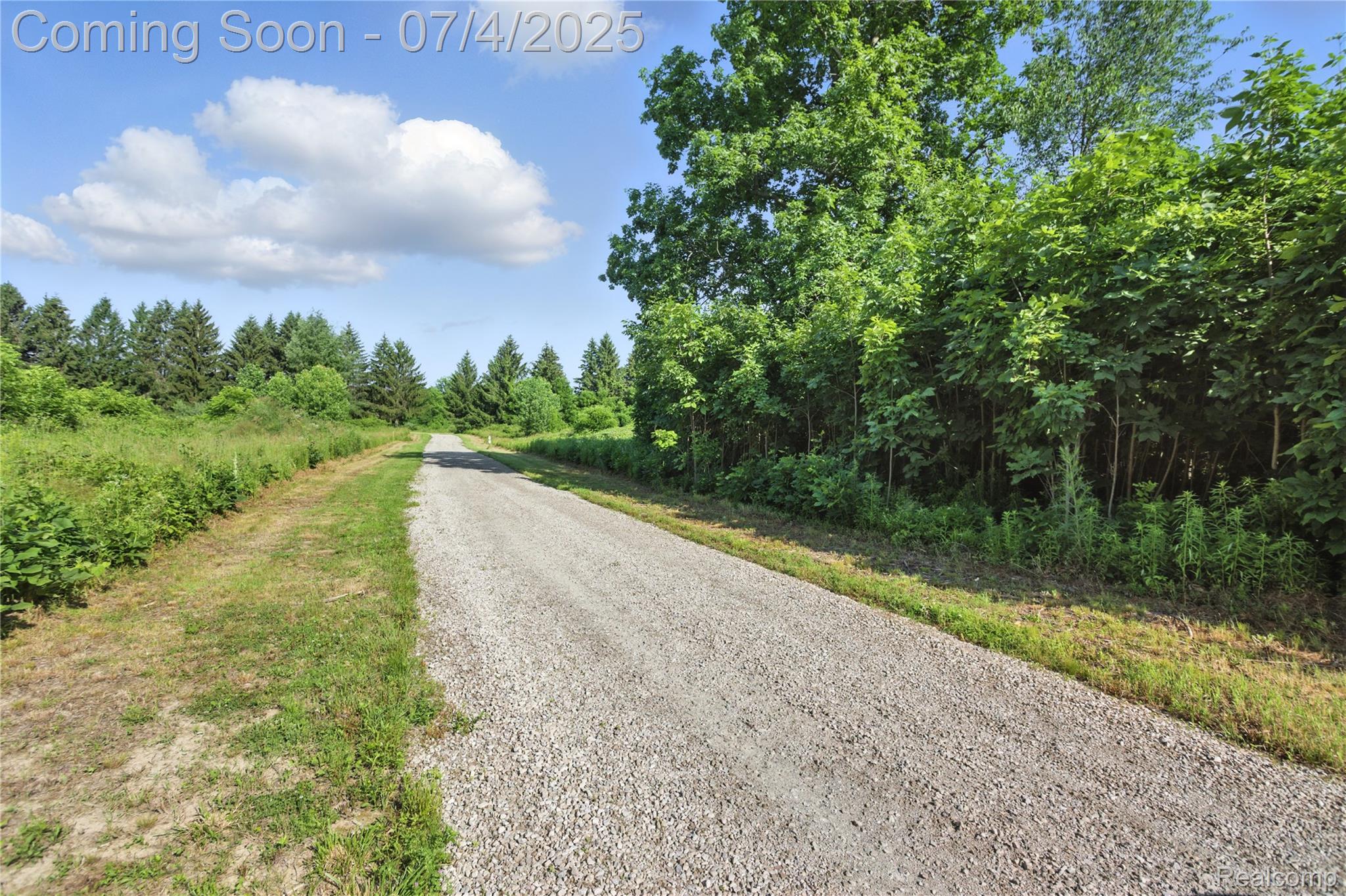 5664 River Road