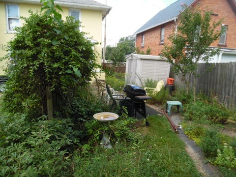 Tiny photo for 1813 S Martin Luther King Jr Drive S, Jackson City, MI 49203 (MLS # 55026047496)