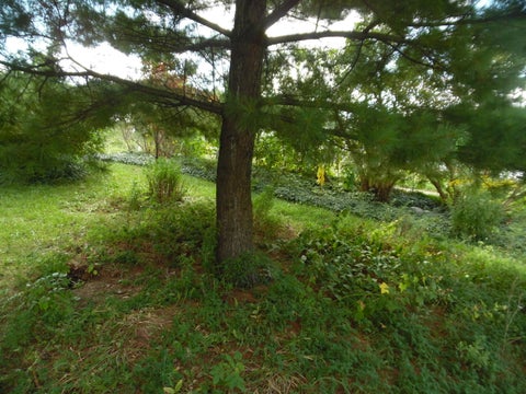 Tiny photo for 1813 S Martin Luther King Jr Drive S, Jackson City, MI 49203 (MLS # 55026047496)