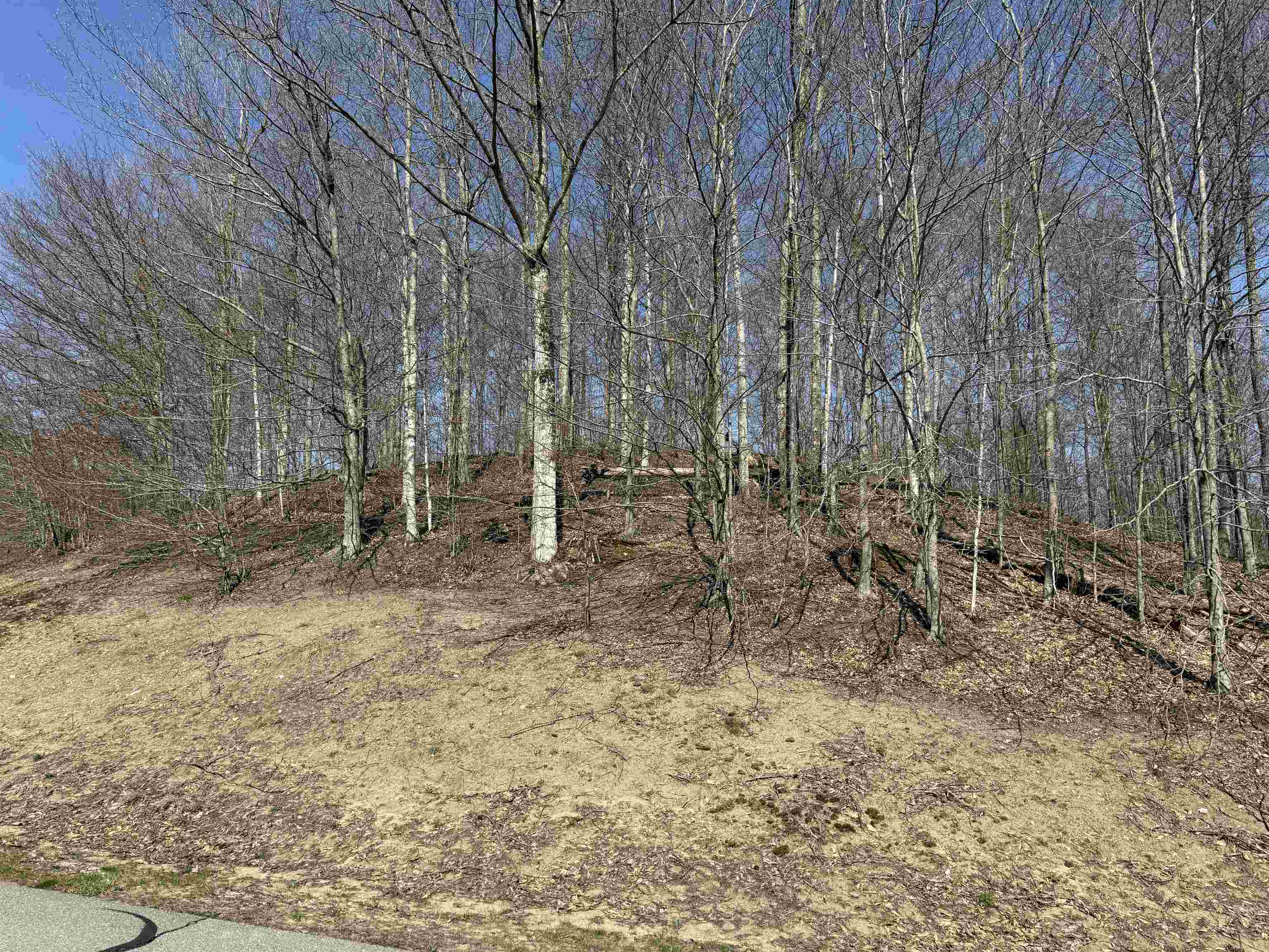 0000 W Timber View Trail